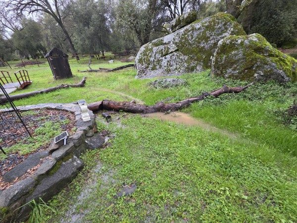Seasonal creek after rain beside mossy granite and meadow