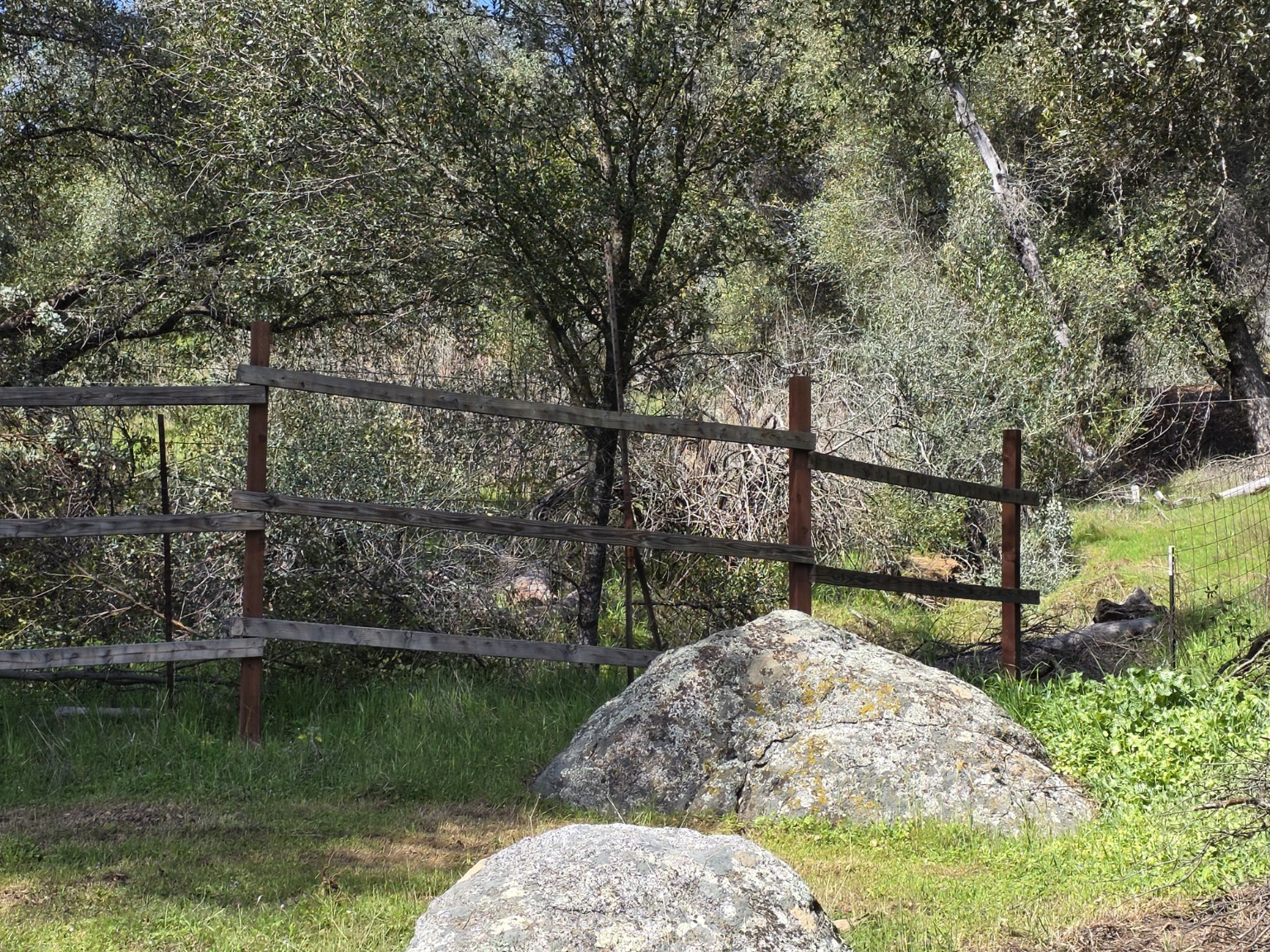Granite rocks and woodland around the cabin