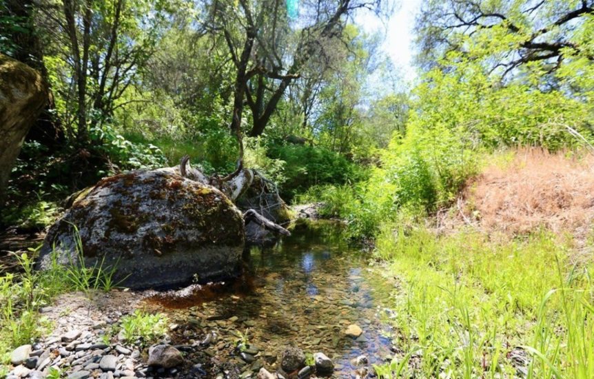 Seasonal creek flowing among granite and greenery